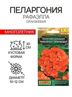 Семена цветов Пеларгония &quot;Рафаэлла&quot;, оранжевая, F1, 5 шт