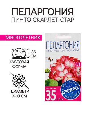 Семена цветов Пеларгония "Пинто Скарлет Стар", F1, 4 шт