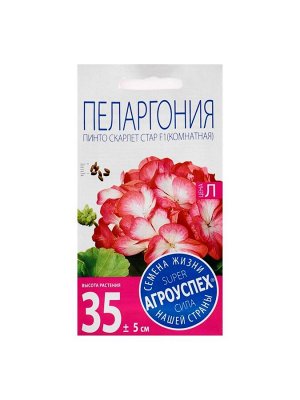 Семена цветов Пеларгония "Пинто Скарлет Стар", F1, 4 шт
