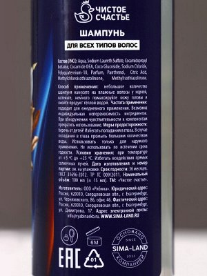 Подарочный набор «Тому, кто всегда на высоте», гель для душа и шампунь для волос, 2x100, Чистое счастье