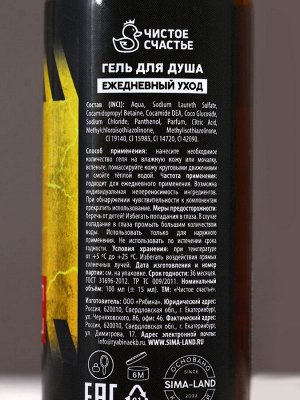 Подарочный набор «Настоящему мужчине», гель для душа и шампунь для волос, 2x100, Чистое счастье
