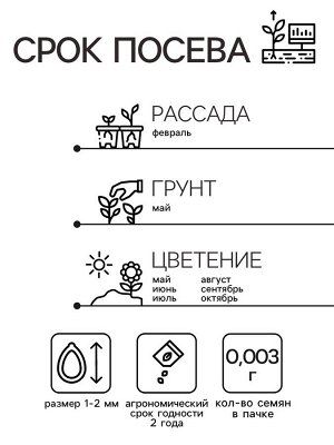 Семена цветов Пентас ланцетовидный "Микс F1", 0,003 г. в амп.
