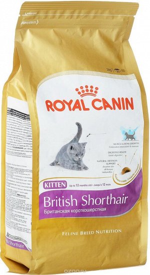 Royal Canin KITTEN BRITISH SHORTHAIR (КИТТЕН БРИТИШ ШОРТХЭЙР)Специальное питание для котят породы британская короткошерстная в возрасте от