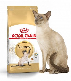 Royal Canin SIAMESE (СИАМИЗ)Специальное питание для кошек сиамской породы, а также для кошек сиамо-ориентальной группы пород в возрасте от
