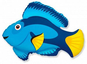 902770 Шар-фигура/ мини фольга, "Рыбка голубая" (BRAVO),  14"/36 см