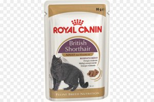 Royal Canin BRITISH SHORTHAIR (БРИТИШ ШОРТХЭЙР)Кусочки в соусе для кошек породы британская короткошерстная, а также для кошек породы шотлан