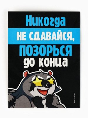 Подарочный набор гифтбокс «Лучше, чем ничего»