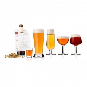 Набор дегустационных бокалов для пива (10 бокалов и блокнот)