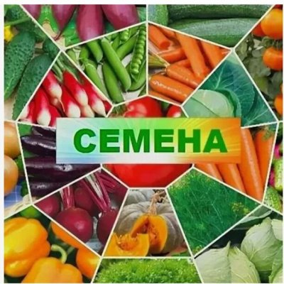 Семена комнатных цветов