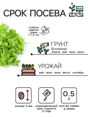 Семена Салат листовой "Азарт",0,5 г