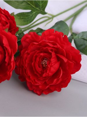 Цветы искусственные «Пион галант колор», 74?10 см, красные