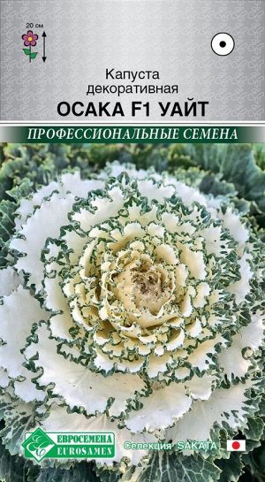 Капуста декоративная Осака F1 Уайт (8 шт)