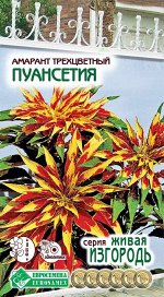 Амарант трехцветный Пуансетия (0,1 гр)
