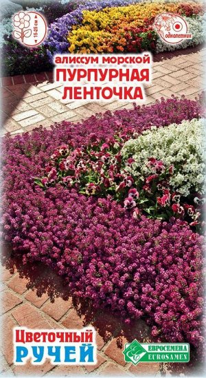 Алиссум морской Пурпурная Ленточка (10 драже)