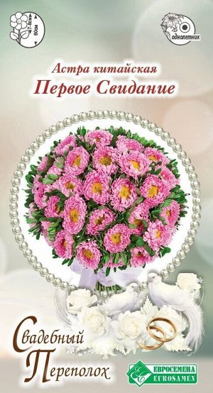 Астра Первое Свидание (китайская) (10 шт)
