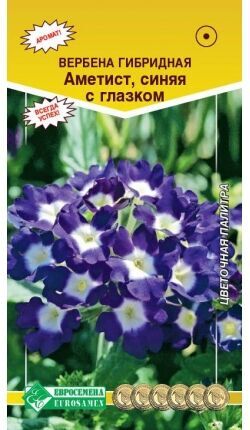 Вербена гибридная АМЕТИСТ, синяя с глазком (10 шт)