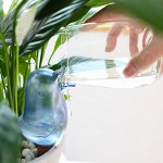 Уход за комнатными растениями! Кашпо, автополивы, лейки