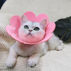 Защитный мягкий воротник конус для кошек и собак