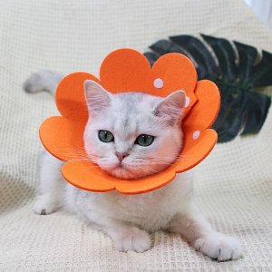 Защитный мягкий воротник конус для кошек и собак