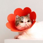 Защитный мягкий воротник конус для кошек и собак