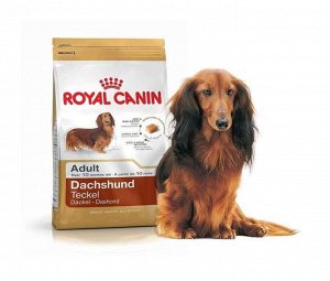 Royal Canin  DACHSHUND ADULT (ТАКСА ЭДАЛТ)
Питание для взрослых собак породы такса в возрасте от 10 месяцев и старше