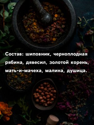 Бальзам безалкогольный на травах «Противопростудный», 250 мл
