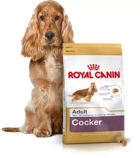 Royal Canin COCKER ADULT (КОКЕР ЭДАЛТ)Питание для взрослых собак породы кокер-спаниель в возрасте от 12 месяцев и старше
