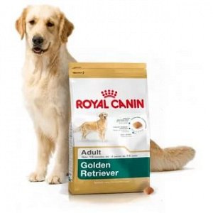 Royal Canin  GOLDEN RETRIEVER ADULT (ГОЛДЕН РЕТРИВЕР ЭДАЛТ)
Питание для взрослых собак породы голден ретривер в возрасте от 15 месяцев и старше