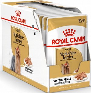 Royal Canin YORKSHIRE TERRIER (ЙОРКШИРСКИЙ ТЕРЬЕР)Паштет для взрослых собак породы йоркширский терьер в возрасте от 10 месяцев и старше