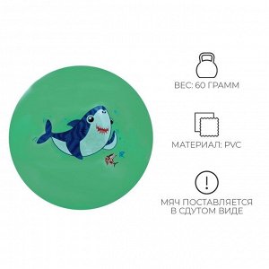 Мяч детский «Акула», d=22 см
