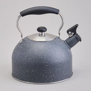 Чайник AGNESS Premium 2,5 л со свистком и складной ручкой, для всех плит, нержавеющая сталь, 1 шт.