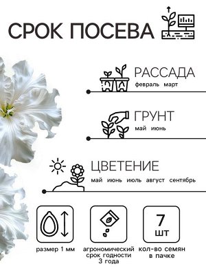 Семена Петуния Афродита F1 белая крупноцветковая, 7 шт
