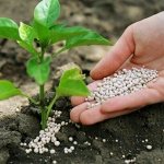 Гранулированные удобрения