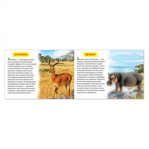 Обучающая книжка «Животные жарких стран», 18 животных