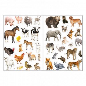 Многоразовые наклейки набор «Такие разные животные», А4, 2 шт.