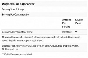 Natural Factors, Echinamide, спрей для горла с прополисом, 1 жидкая унция