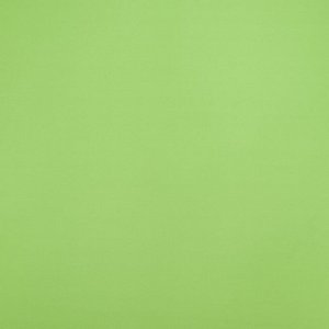Пленка матовая для цветов и букетов, неоновые цвета, зелёная, 57 смx10 м (+ -) 1 см