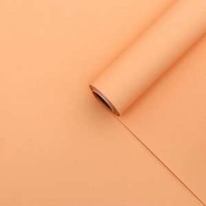 Пленка для декора и флористики, матовая, 65 микрон, пудра, 56 смx10 м ( + - ) 1 см