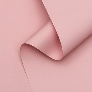 Пленка матовая для цветов, 0.5x10 м 65 мкм, пастельная серия, чайная роза