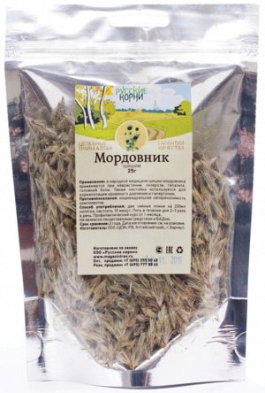 Мордовник шароголовый (шишки) купить в Москве