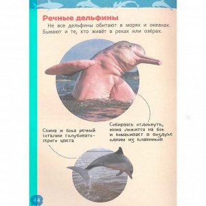 Книга 978-5-353-10284-7 Акулы, киты и дельфины Энциклопедия для детского сада