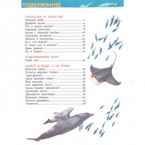 Книга 978-5-353-10284-7 Акулы, киты и дельфины Энциклопедия для детского сада