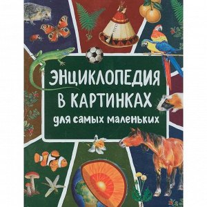 Книга 978-5-353-09911-6 Энциклопедия в картинках для самых маленьких