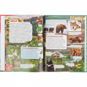 Книга 978-5-353-07366-6 Россия.Детская энциклопедия