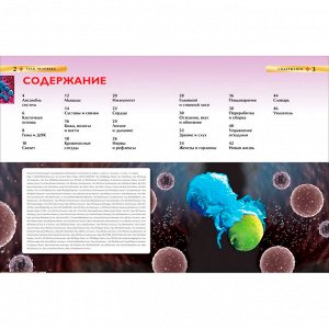 Книга 978-5-353-05840-3 Тело человека.Детская энциклопедия.