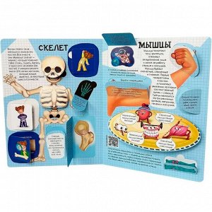 Книга 978-5-907-66415-9 Энциклопедия с окошками Как устроено твое тело