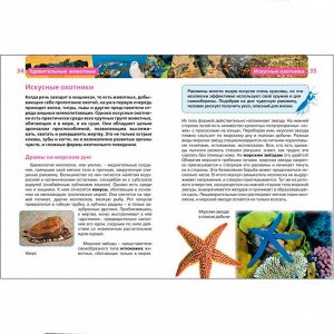 Книга энциклопедия 978-5-353-07368-0 Удивительные животные (ДЭР)