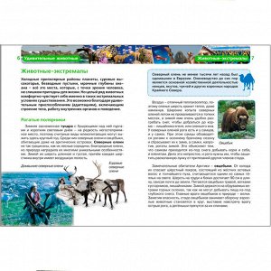 Книга энциклопедия 978-5-353-07368-0 Удивительные животные (ДЭР)