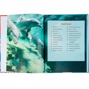 Книга 978-5-353-05767-3 Киты и дельфины.Детская энциклопедия