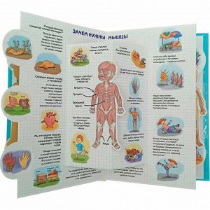 Книга 978-5-907-38838-3 Энциклопедия 3Д СЕКРЕТЫ ЧЕЛОВЕКА